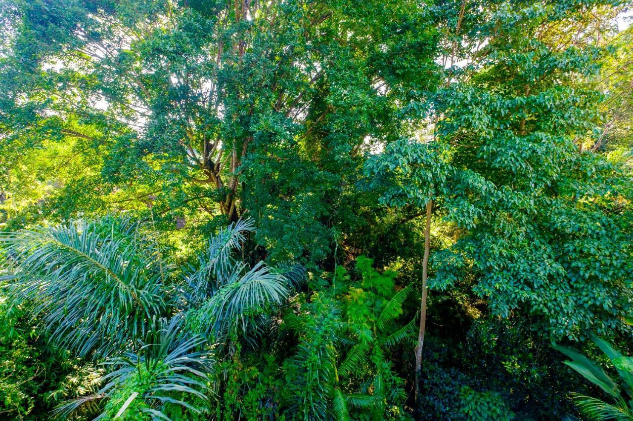 Bali Ubud Harmony Dış mekan fotoğraf